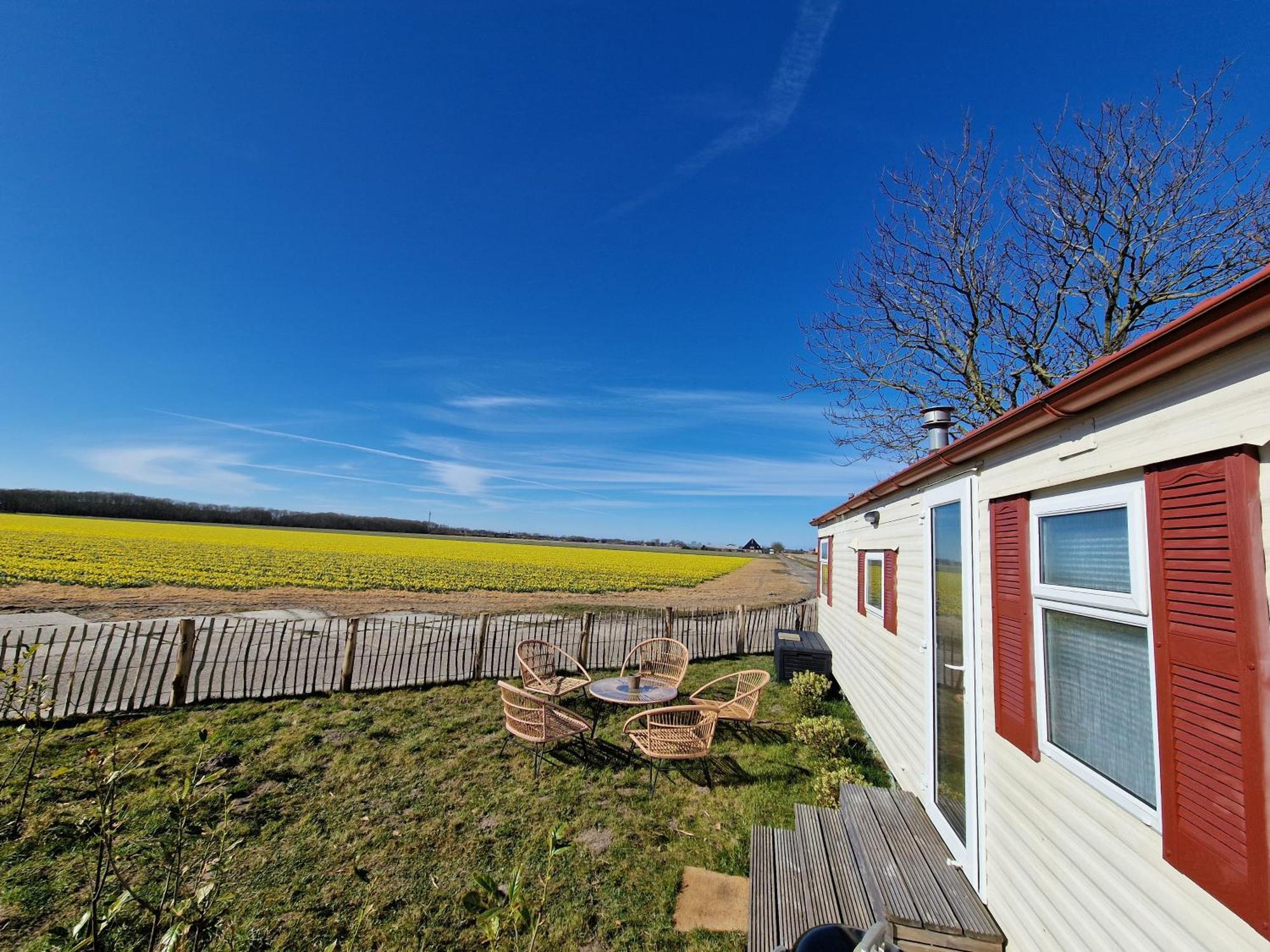 Chalet 'Como La Flor' Julianadorp Flowerfields Overview! エクステリア 写真